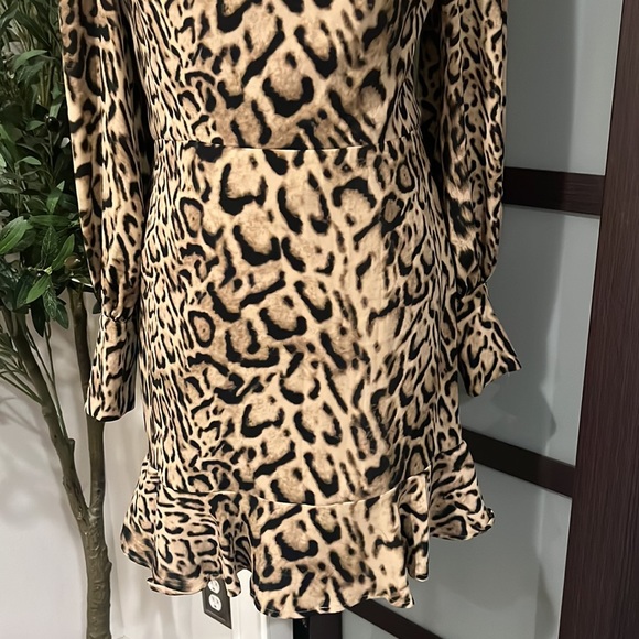 Express Leopard Dress - Picture 3 of 5
